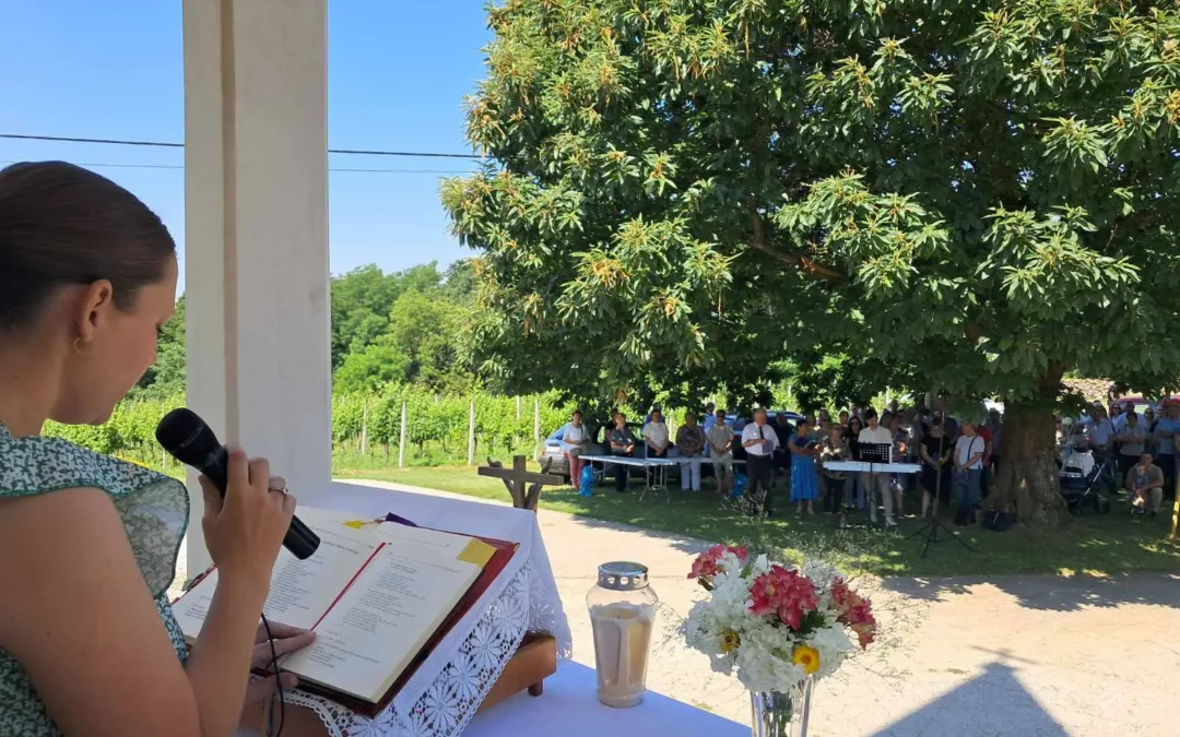 Proslava svetog Alojzija Gonzage u Grkaveščaku